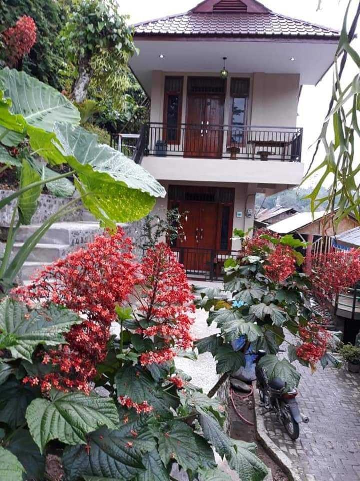 Bukit Lawang Hotel Exterior photo